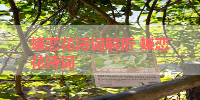 蝶恋花诗词解析 蝶恋花诗词