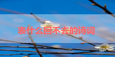 表什么回不去的诗词 