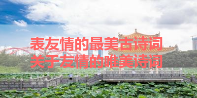 表友情的最美古诗词 关于友情的唯美诗词 