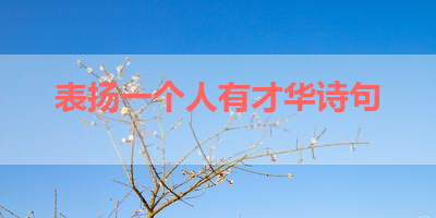 表扬一个人有才华诗句 