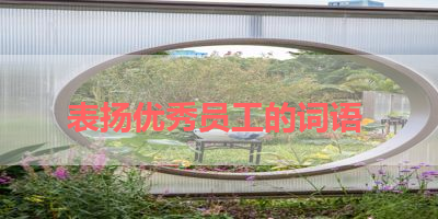 表扬优秀员工的词语 