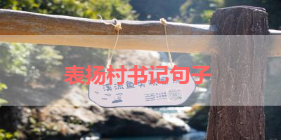 表扬村书记句子 