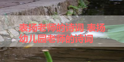表扬老师的诗词 表扬幼儿园老师的诗词