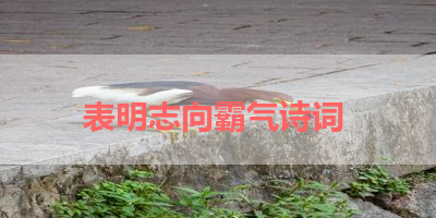 表明志向霸气诗词 