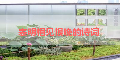 表明相见恨晚的诗词 
