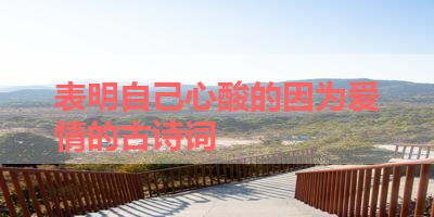 表明自己心酸的因为爱情的古诗词 