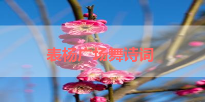 表杨广场舞诗词 