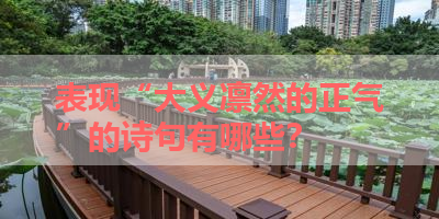 表现“大义凛然的正气”的诗句有哪些？ 