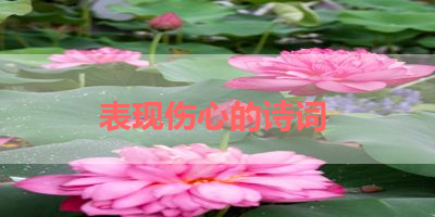 表现伤心的诗词 