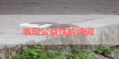 表现公益性的诗词 