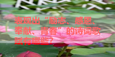 表现出“励志、感恩、奉献、青春”的诗词歌赋有哪些？ 