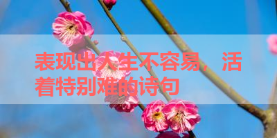 表现出人生不容易，活着特别难的诗句 