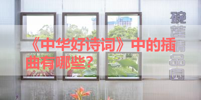 《中华好诗词》中的插曲有哪些？ 