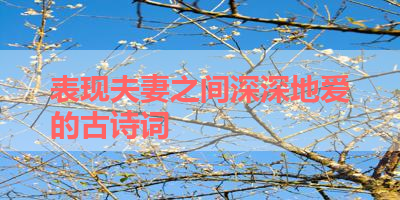 表现夫妻之间深深地爱的古诗词 