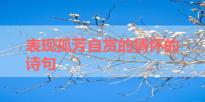 表现孤芳自赏的情怀的诗句 