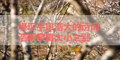 表现宇宙浩大的诗词 浩瀚宇宙大小之别