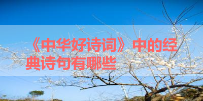 《中华好诗词》中的经典诗句有哪些 