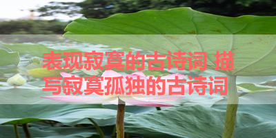 表现寂寞的古诗词 描写寂寞孤独的古诗词