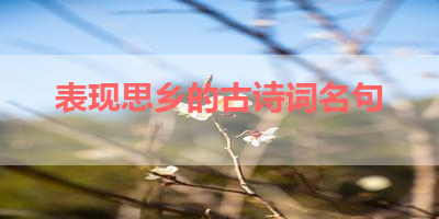 表现思乡的古诗词名句 
