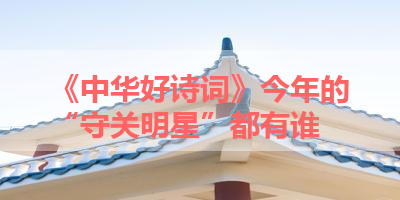 《中华好诗词》今年的“守关明星”都有谁 
