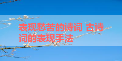 表现愁苦的诗词 古诗词的表现手法