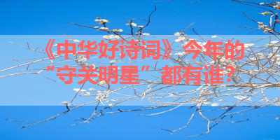 《中华好诗词》今年的“守关明星”都有谁？ 