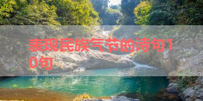 表现民族气节的诗句10句 