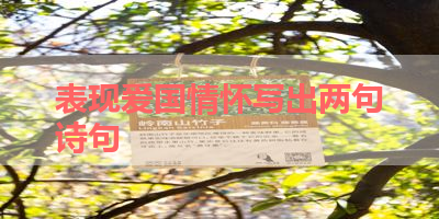 表现爱国情怀写出两句诗句 