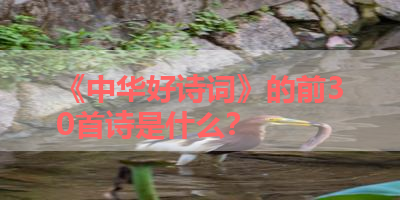 《中华好诗词》的前30首诗是什么？ 