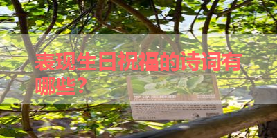 表现生日祝福的诗词有哪些？ 