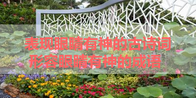表现眼睛有神的古诗词 形容眼睛有神的成语