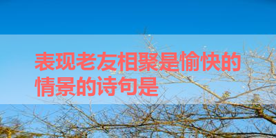 表现老友相聚是愉快的情景的诗句是 