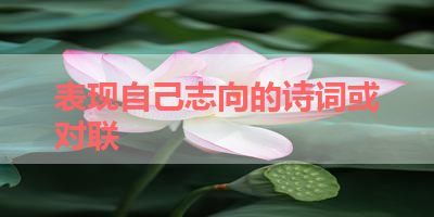 表现自己志向的诗词或对联 