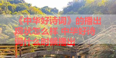 《中华好诗词》的播出现状怎么样 中华好诗词什么时候播出