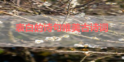 表白的诗句唯美古诗词 