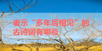 表示“多年后相见”的古诗词有哪些 