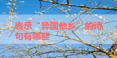 表示“异国他乡”的诗句有哪些 
