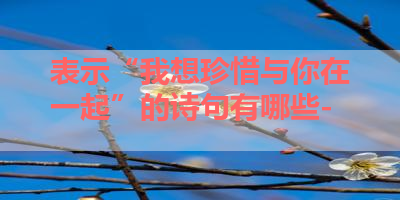 表示“我想珍惜与你在一起”的诗句有哪些- 