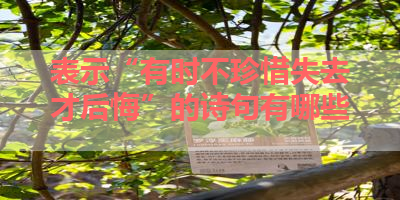 表示“有时不珍惜失去才后悔”的诗句有哪些 