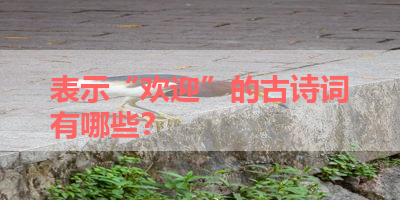 表示“欢迎”的古诗词有哪些？ 