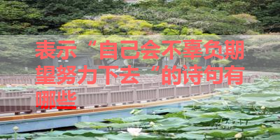 表示“自己会不辜负期望努力下去“的诗句有哪些 