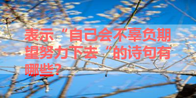 表示“自己会不辜负期望努力下去“的诗句有哪些？ 