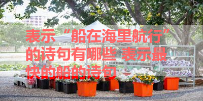 表示“船在海里航行”的诗句有哪些 表示最快的船的诗句