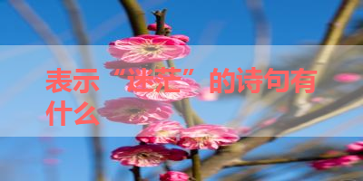 表示“迷茫”的诗句有什么 