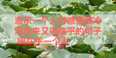 表示一个人对感情很冷漠后来又很在乎的句子 很在乎一个人