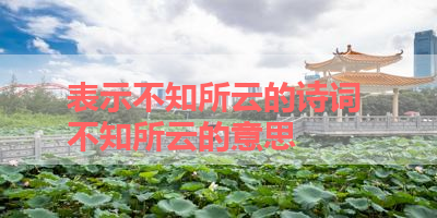 表示不知所云的诗词 不知所云的意思