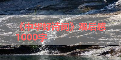 《中华好诗词》观后感1000字 