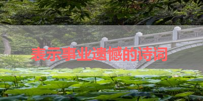 表示事业遗憾的诗词 
