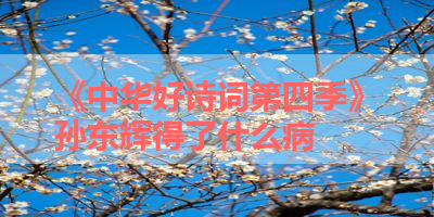 《中华好诗词第四季》孙东辉得了什么病 