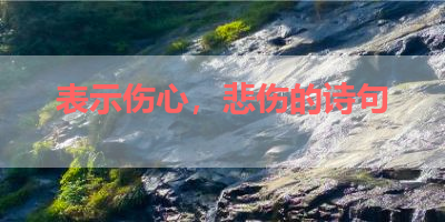 表示伤心，悲伤的诗句 